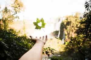 Free photo hand holding leaf with heart shape