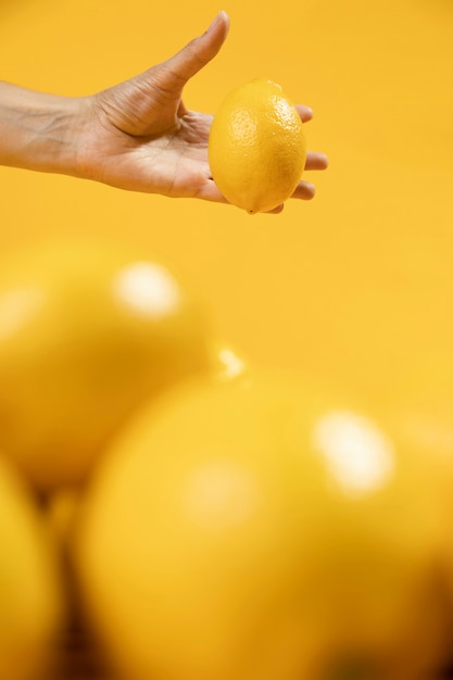 손을 잡고 유기농 레몬