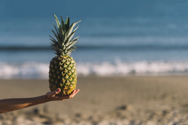 Free photo hand holding pineapple near the water