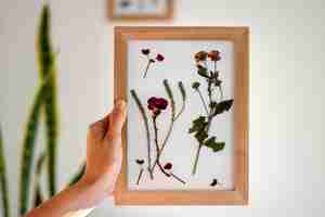 Free photo hand  holding pressed flower frame