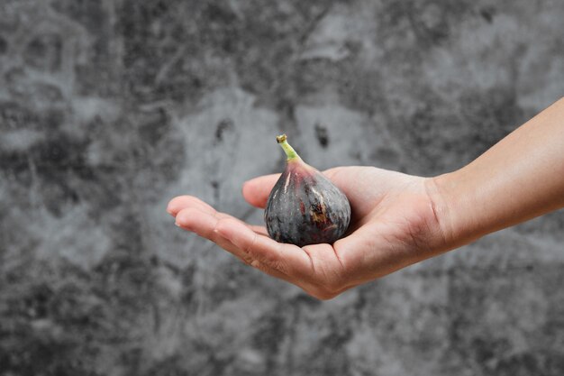 Free photo hand holding a purple fig on marble.