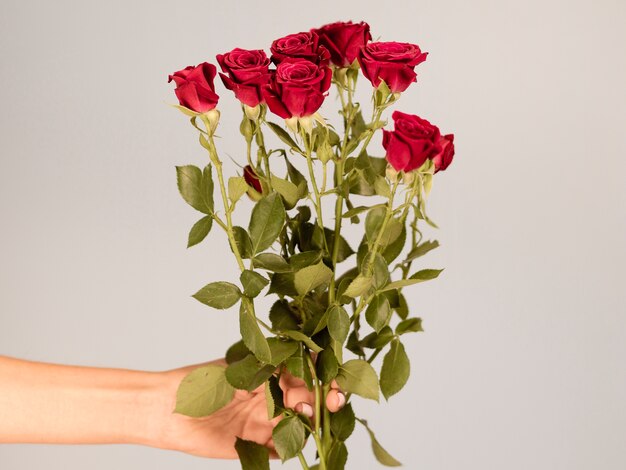 Hand holding rose bouquet front view