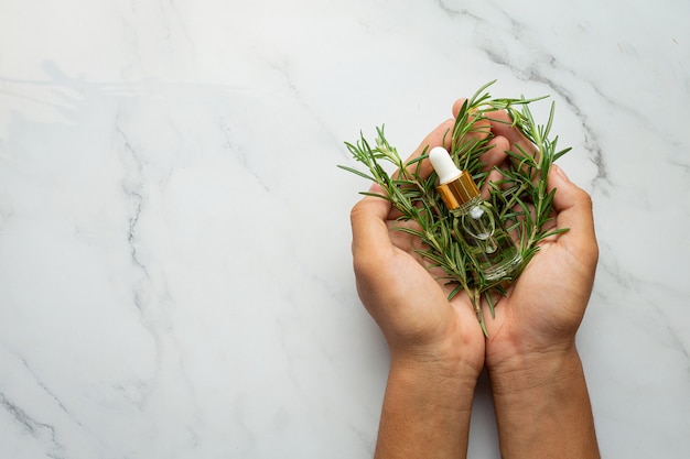 Mano che tiene la pianta fresca di rosmarino e una bottiglia di olio di rosmarino