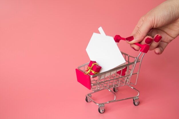 Hand holding shopping cart miniature