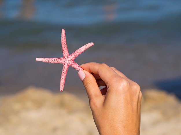 Hand holding a starfish with blurred background