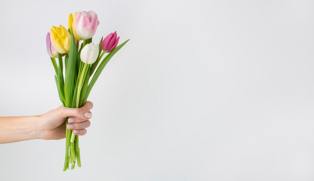 Hand holding tulips bouquet