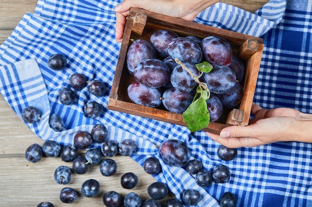 Hand holding wooden basket of garden plums on a wooden table. High quality photo