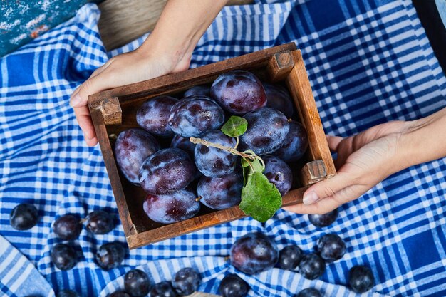 Hand holding wooden basket of garden plums on a wooden table. High quality photo