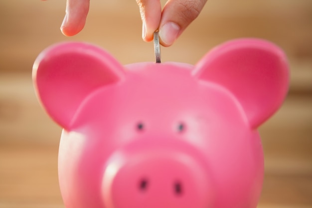 Hand inserting coin in piggy bank