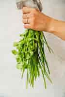 Free photo hand of a person holding fresh parsley