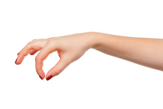 Hand pose like picking something isolated on white