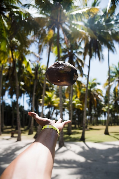 Free photo hand throwing rock with palm trees background