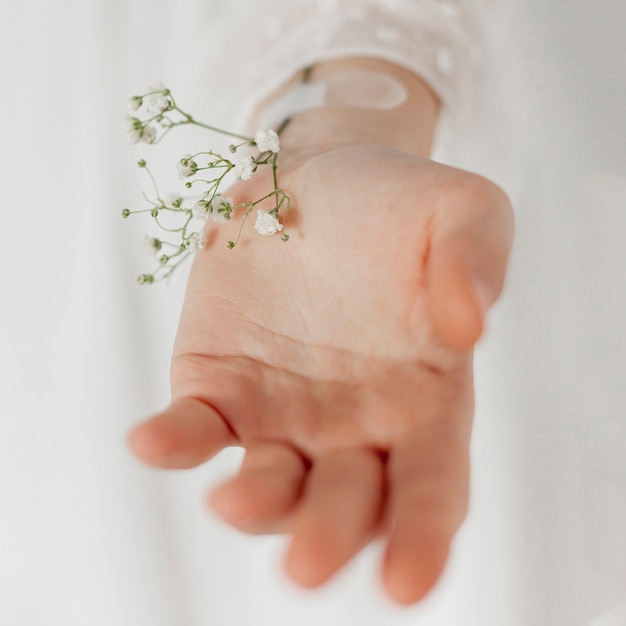 Hand with beautiful flowers close up