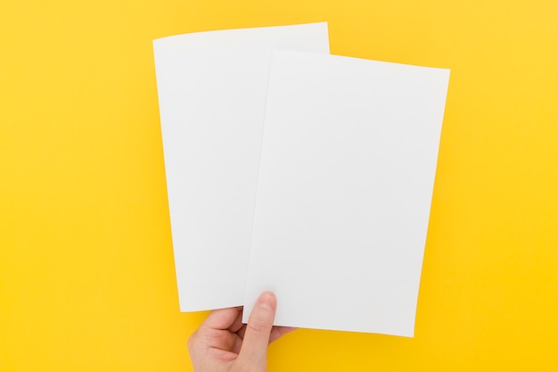 Hand with two brochures