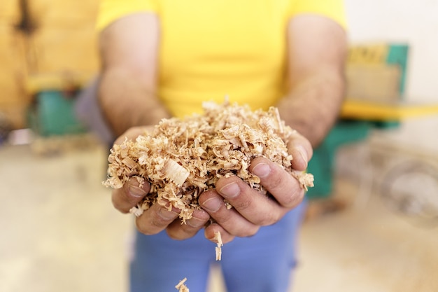 A handful of dry technological wood chips. Selective focus on sawdust