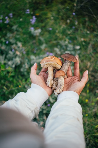 Free photo handful of healthy mushrooms, raisins and dried mushrooms outdoors in the wilderness.