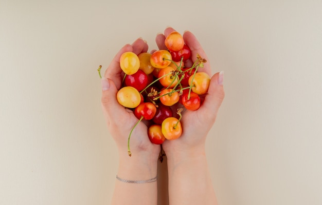 Free photo handful of rainier cherry in female hands on white top view