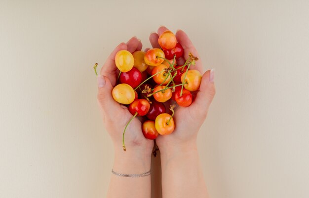 Handful of rainier cherry in female hands on white top view