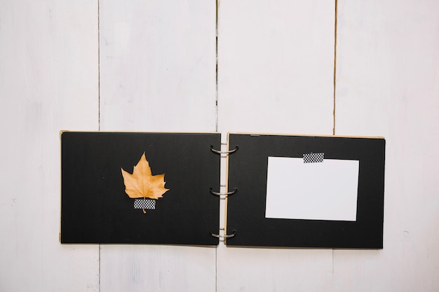 Handmade folder with leaf and paper