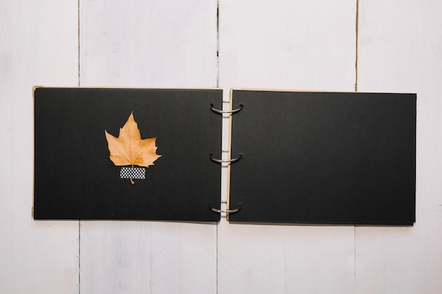 Handmade folder with leaf