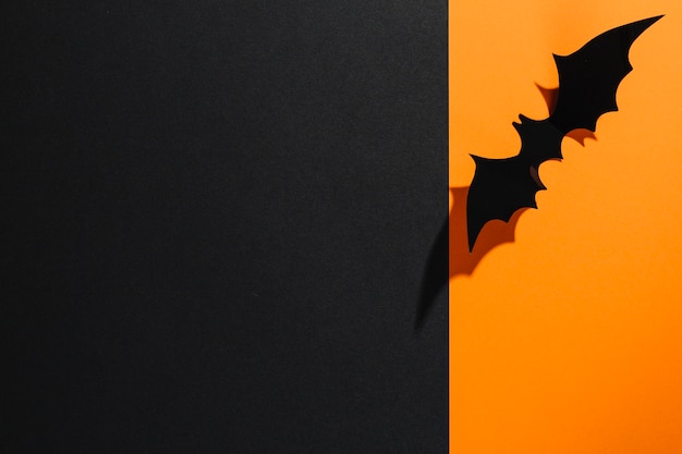 Handmade Halloween bat on orange paper