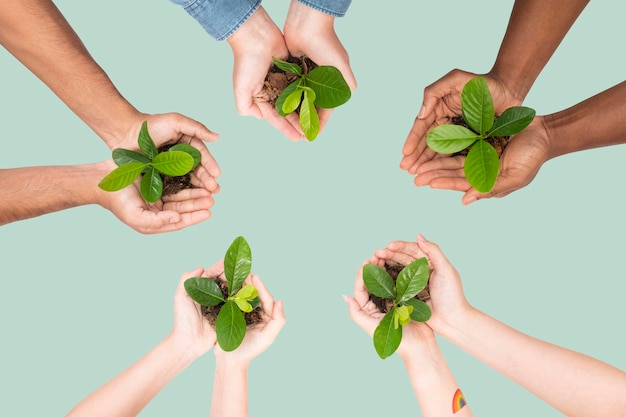 Hands cupping plant save the environment campaign