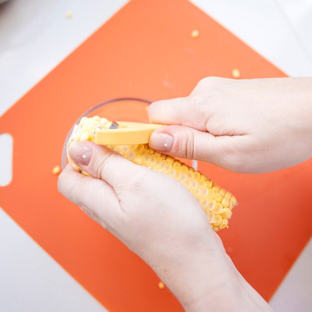 Hands cutting maize