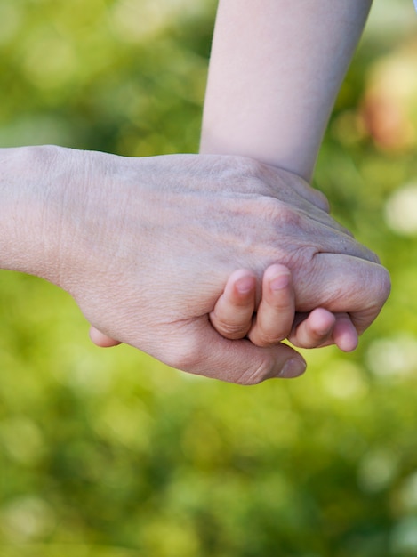 Foto gratuita mani di nipote e nonna