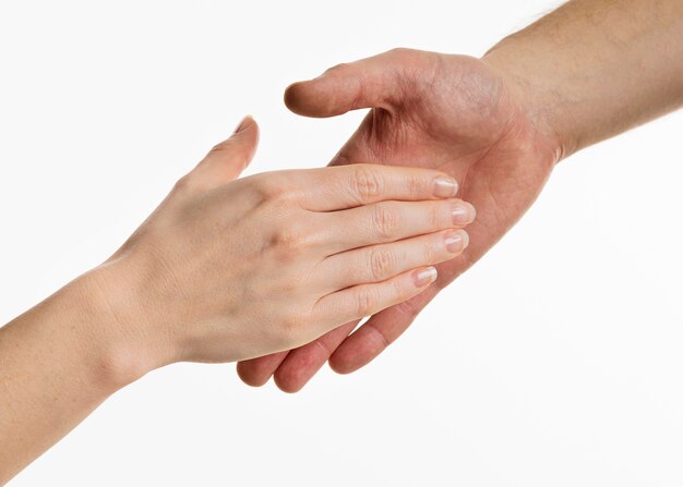 Hands in handshake