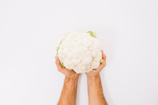 Free photo hands holding cauliflower