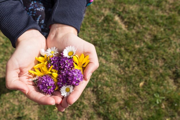 Hands holding different types of flowers