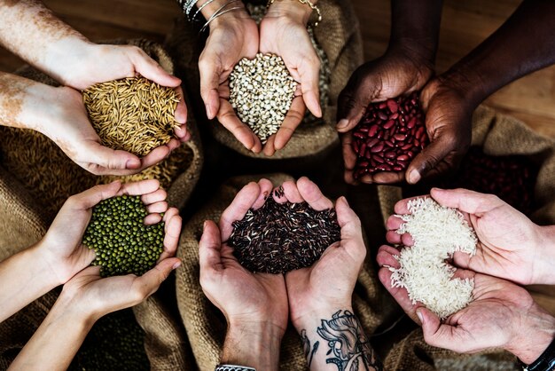 Hands holding fresh grain harvest