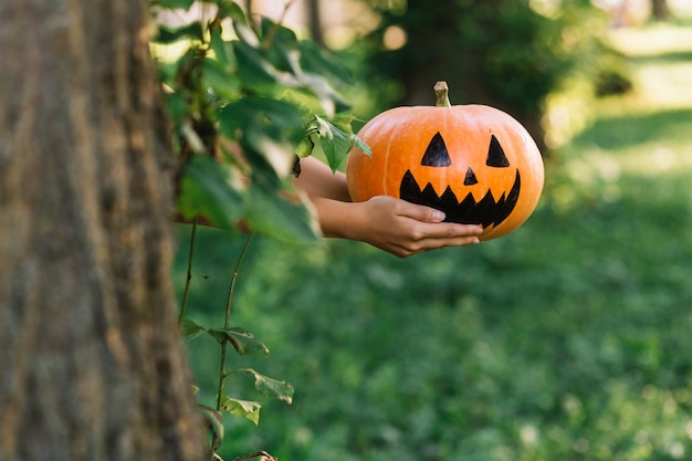 Hands holding halloween pumpkin in park