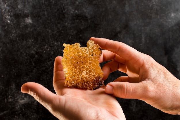 Hands holding honeycomb