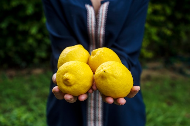 농장에서 레몬 유기농 농산물을 들고 손