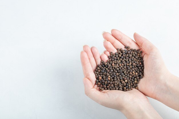 Hands holding many of dried peppers on a white background. 