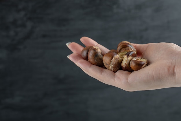 Mani che tengono molte delle castagne sane su uno sfondo bianco.