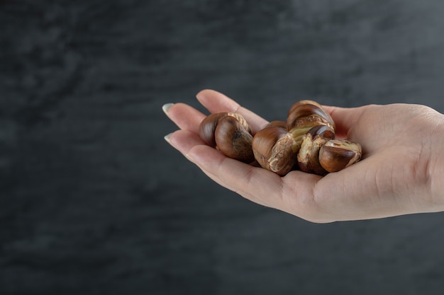 Hands holding many of healthy chestnuts on a white background.