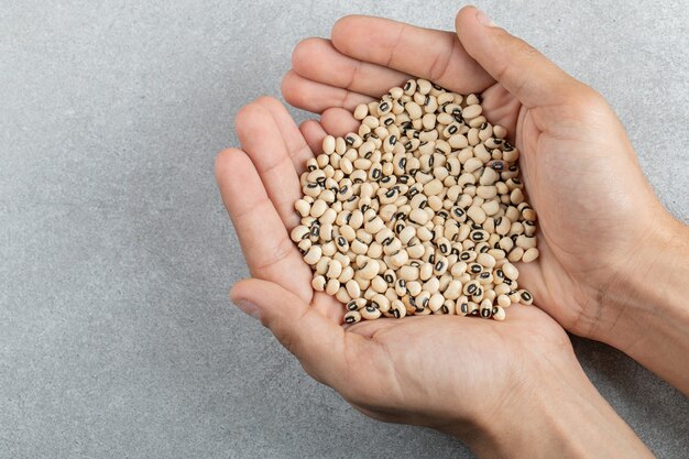 Hands holding many of raw corn grains on a gray surface.