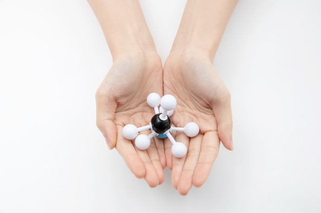 Hands holding a molecular structure on a whit background