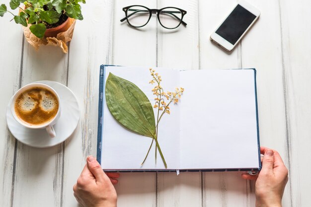 Hands holding notebook in summer themed workplace