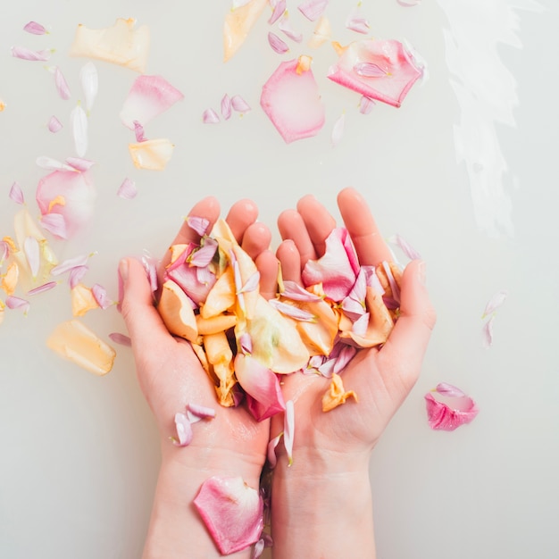 Hands holding petals in water