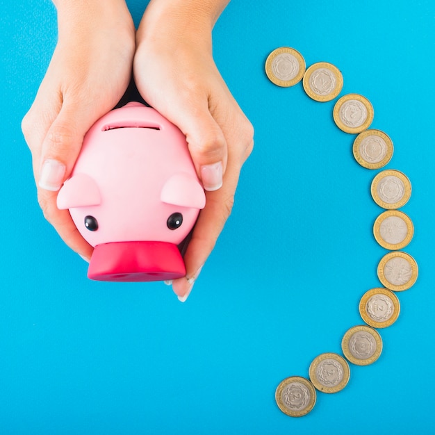 Free photo hands holding piggy bank