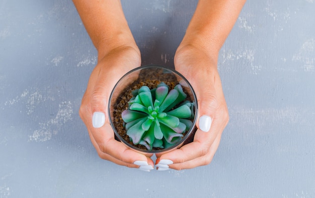 Free photo hands holding plant in glass pot