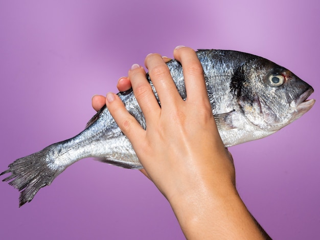 Hands holding raw fish with gills