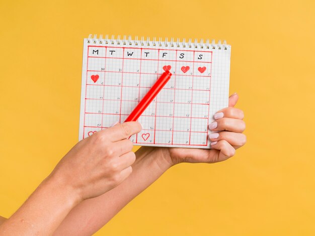 Mani che tengono una penna rossa e vista frontale del calendario periodo