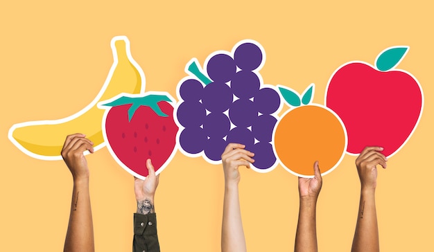 Free photo hands holding a set of fruits clipart