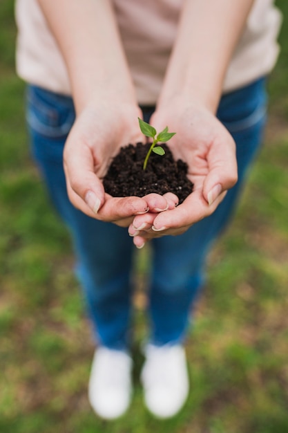 Hands holding small plant