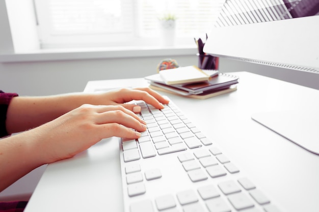 Hands of an office woman typing