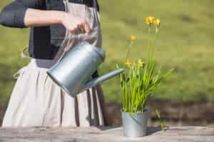 Free photo hands planting